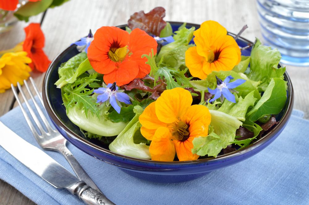 Flores comestíveis: conheça flores que podem fazer parte da alimentação