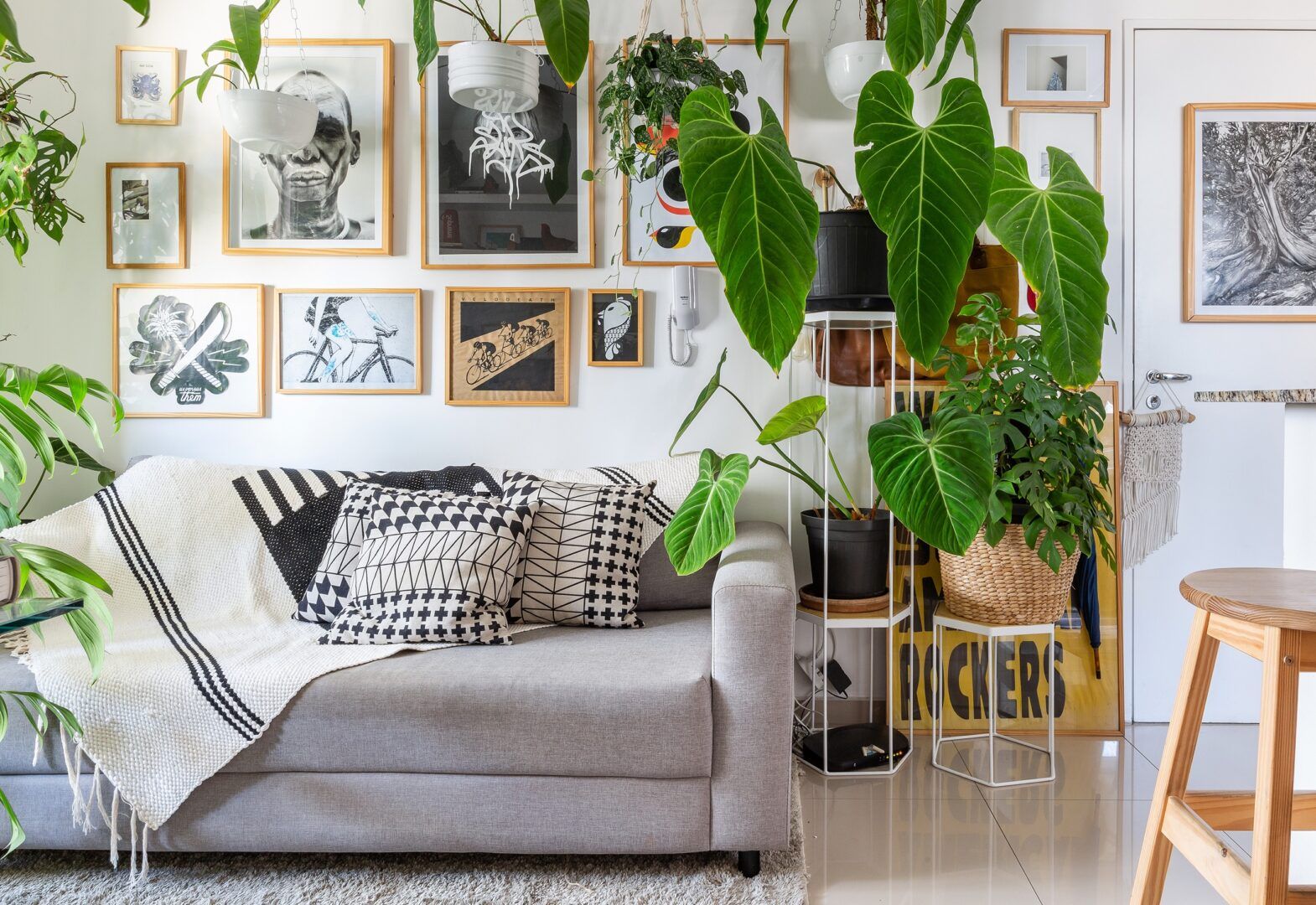 Plantas para apartamento: opções para decorar ambientes internos