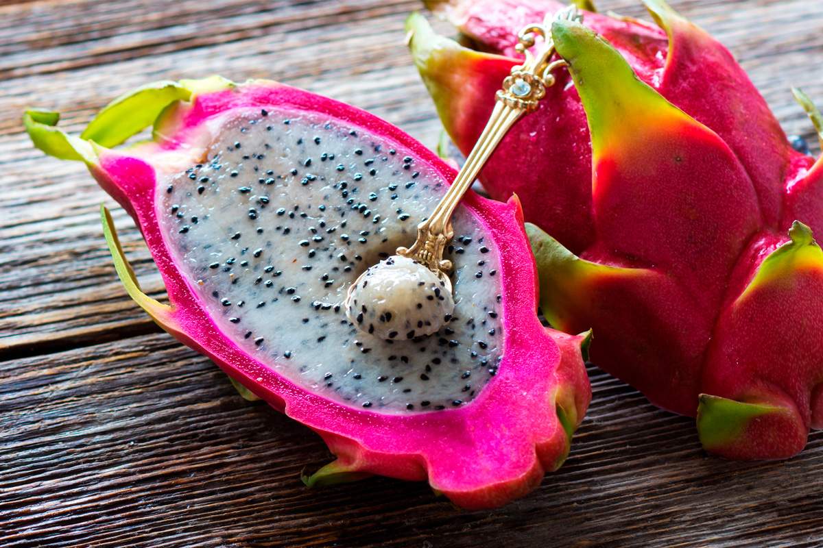 Como plantar pitaya: conheça a fruta exótica e como cultivar em casa