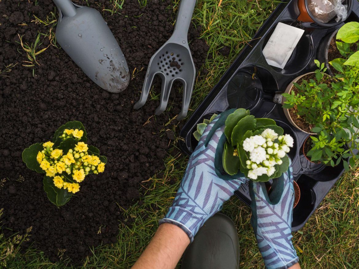 Dicas de jardinagem: truques para aprender a cuidar do jardim
