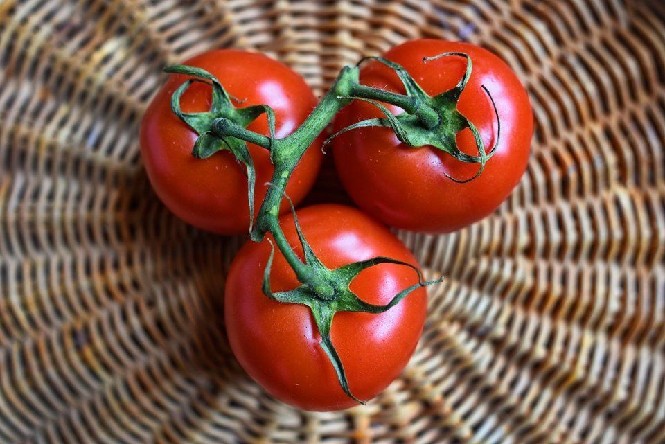 Tipos de tomates: opções comuns e diferentes para molhos e saladas