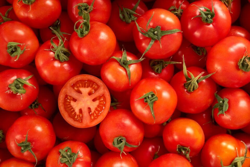 Tipos de tomates – Principais características e opções mais comuns