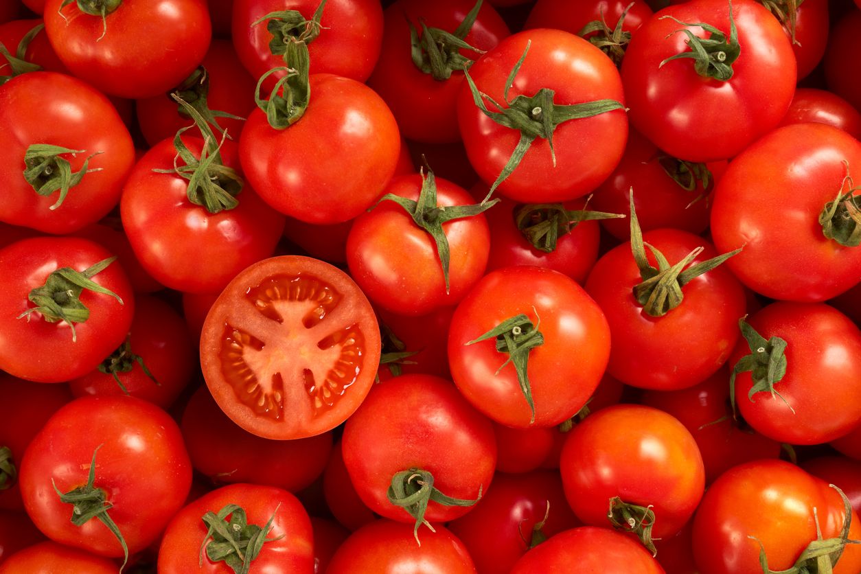 Tipos de tomates: opções comuns e diferentes para molhos e saladas