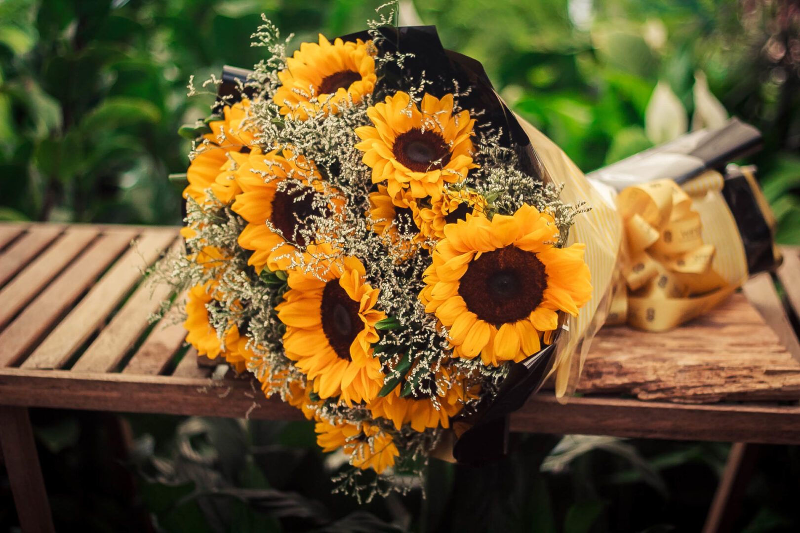 Flores românticas: opções para presentear ou ter em casa em arranjos